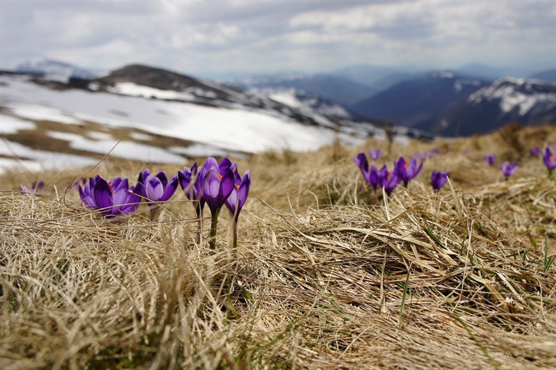 The XC Skier's Spring Checklist