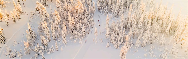 How to be a More Balanced Nordic Skier