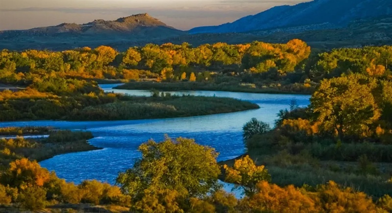 Aspen Viewing: Drives to See Fall Leaves in Colorado