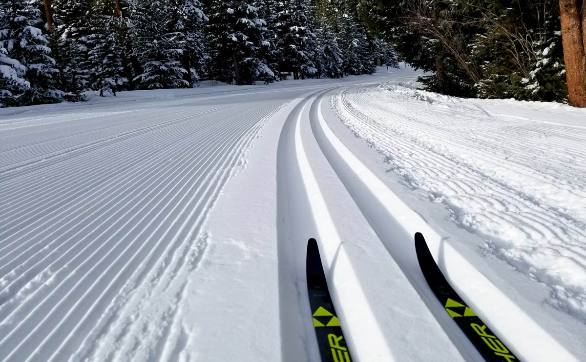Pair of Nordic skis on the groomed tracks