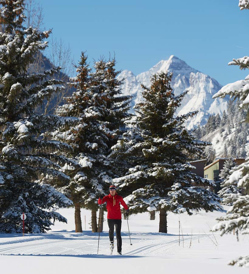 Skier on trails with pine trees and mountains